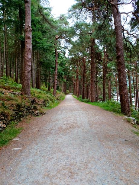 Glendalough White Route Glendalough White Route