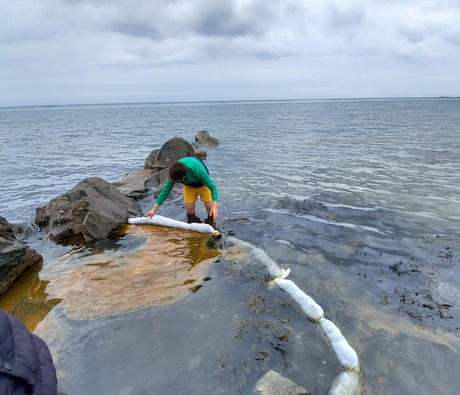 Green Salon Collective using their innovative hair booms to remove oil from tide pools. 