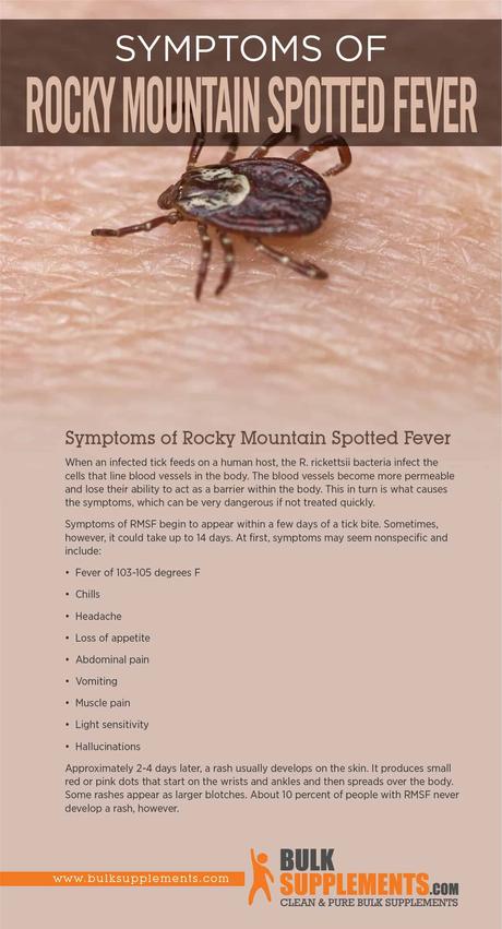 Symptoms of Rocky Mountain Spotted Fever