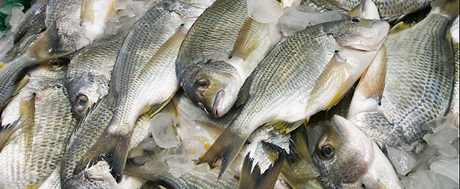 Sustainable seafood refers to the farming, marketing, and distribution of seafood in a way that protects the environment, species, and people's livelihoods in the long run without hurting the marine ecosystem. key factor expected to drive the global Sustainable Seafood Market growth