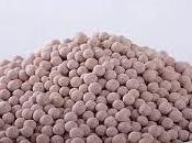 Molecular Sieves Catalyst Market: Global Company Analysis Forecast 2018 2026 Albemarle Corporation, Grace Company, Silkem Ltd., Sinopec Group, Catalysts Chemicals Ltd.