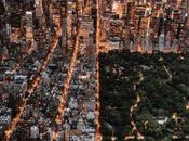 Reasons Every Musician Should Visit Least Once Their Lifetime