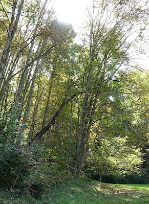 Autumn Comes Walking Over the Hills