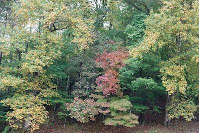 Autumn Comes Walking Over the Hills