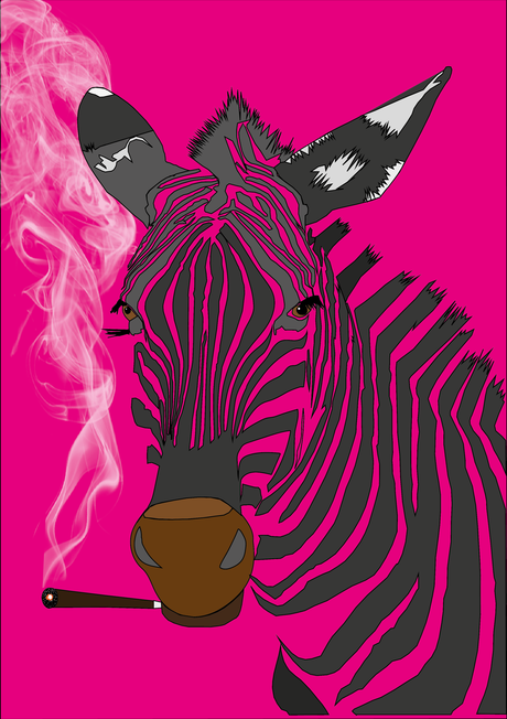 Would anyone be fascinating in adopting a Stoned Zebra NFT?