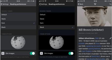 How to Turn on Dark Mode on Wikipedia (Website & App) How to Turn on Dark Mode on Wikipedia (Website & App)