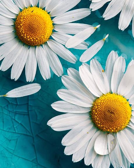 All the freedom so immaculate that I would like, I have already got. Ought to I let what …