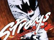 #2,635. Strays (1991)