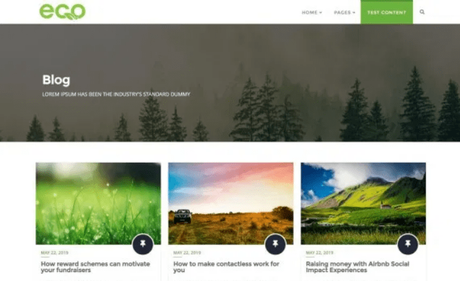 Gutenberg WordPress Themes