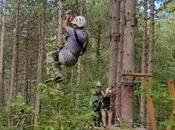 Treetop Zipline Adventure