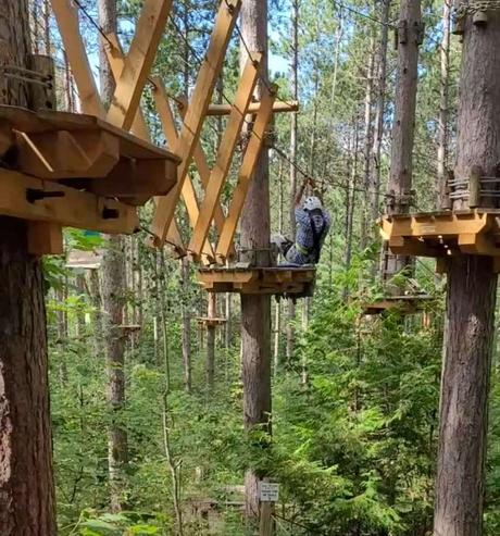 A Treetop Zipline Adventure