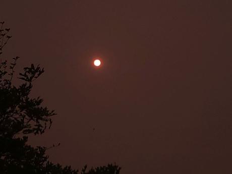 Wildfires giving a red tint to sun, moon