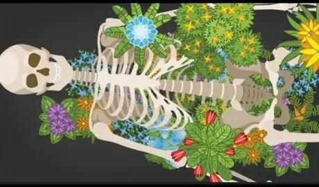 Are Human Burial Practices Messing Up Earth’s Ecosystems Are Human Burial Practices Messing Up Earth’s Ecosystems