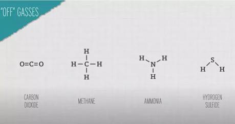 Carbon dioxide methane and ammonia gases Carbon dioxide methane and ammonia gases
