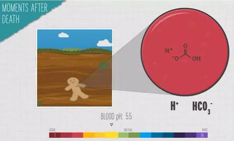 microbiome eating us microbiome eating us