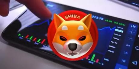Shiba inu a coin burn Shiba inu a coin burn