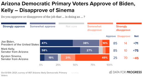 Arizona Democrats Have A VERY Low Opinion Of Sinema