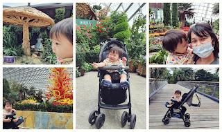 We went to the Gardens by the Bay (Covid Edition)