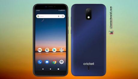 Cricket Debut Full Specifications and Price