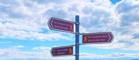 The E8 Trail Day Three (Mullacor Hut to Mangan’s Wood/Tinahely) The E8 Trail Day Three (Mullacor Hut to Mangan’s Wood/Tinahely)