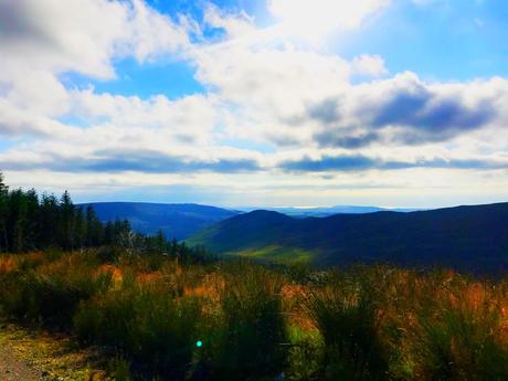 The E8 Trail Day Three (Mullacor Hut to Mangan’s Wood/Tinahely)