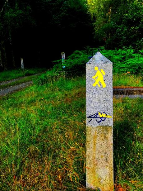 The E8 Trail Day Three (Mullacor Hut to Mangan’s Wood/Tinahely) The E8 Trail Day Three (Mullacor Hut to Mangan’s Wood/Tinahely)