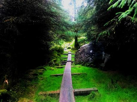 The E8 Trail Day Three (Mullacor Hut to Mangan’s Wood/Tinahely) The E8 Trail Day Three (Mullacor Hut to Mangan’s Wood/Tinahely)