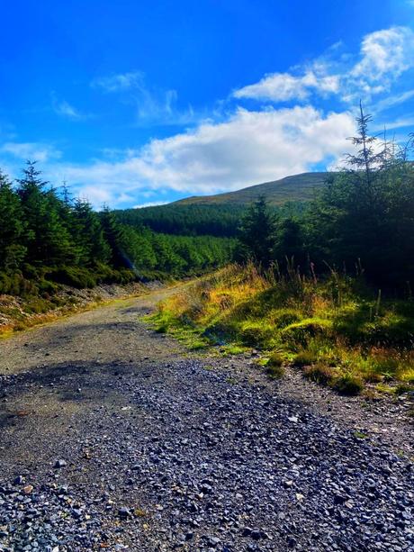 The E8 Trail Day Three (Mullacor Hut to Mangan’s Wood/Tinahely) The E8 Trail Day Three (Mullacor Hut to Mangan’s Wood/Tinahely)