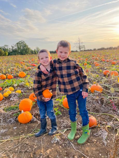 A Visit to The Pumpkin Patch - The Patch MK