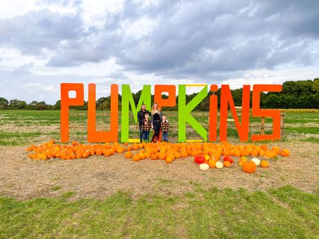 pumpkin picking milton keynes, pumpkin patch bucks, the patch mk, mk pumpkin patch