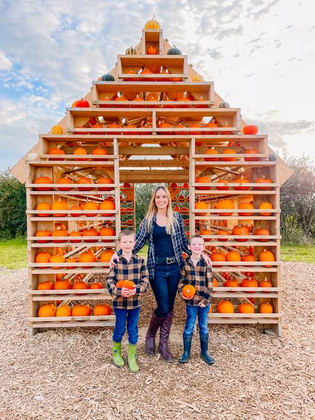 pumpkin picking milton keynes, pumpkin patch bucks, the patch mk, mk pumpkin patch