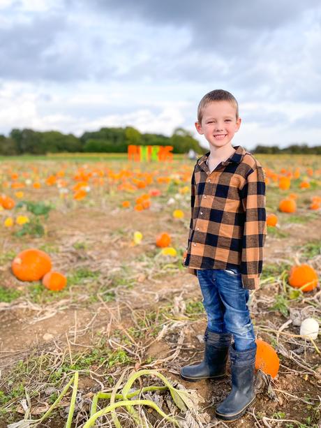 pumpkin picking milton keynes, pumpkin patch bucks, the patch mk, mk pumpkin patch