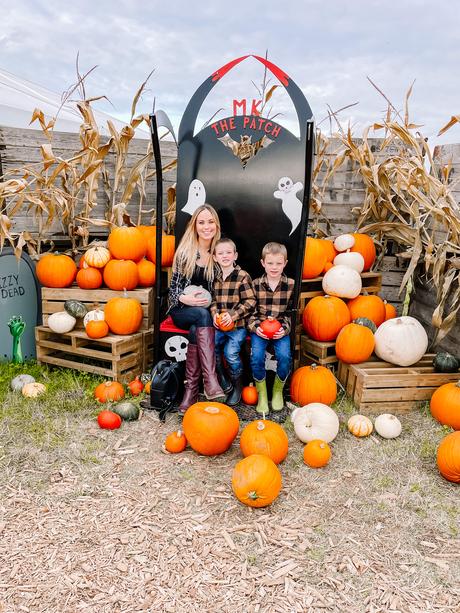 A Visit to The Pumpkin Patch - The Patch MK