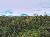 Global Warming Affecting Ecosystem