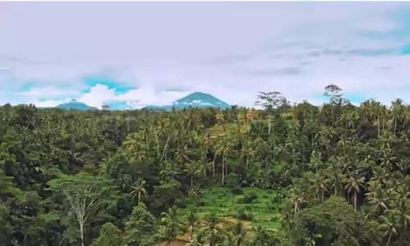 Global Warming Is Affecting Our Ecosystem Global Warming Is Affecting Our Ecosystem