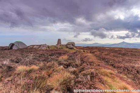 Prince Williams Seat Loop