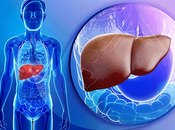 Herbal Remedies Liver Hemangioma Treatment