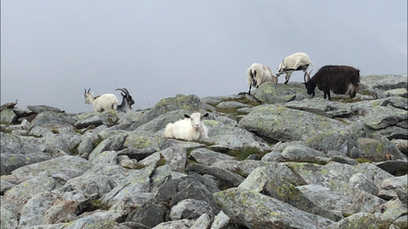 The Snowdonia Way Mountain Route – Hiking and wild camping the trail