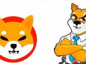 Politician Serious About Shiba Willing Push Coin $0.01