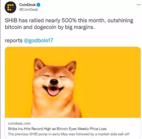 coindesk on shiba inu coindesk on shiba inu