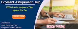 We Provide The Top-Notch Essay Solutions To The Students Such That They Can Score High Grades In Their Academics