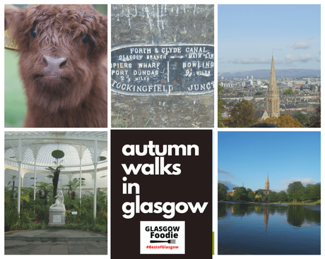 autumn walks in Glasgow