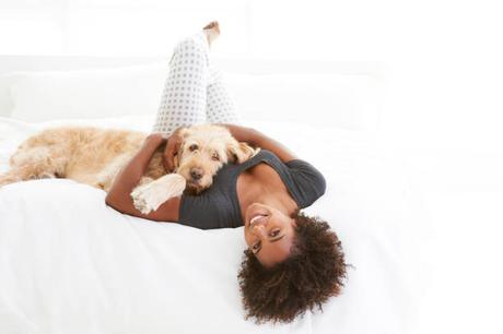 Leave That To The Dogs!