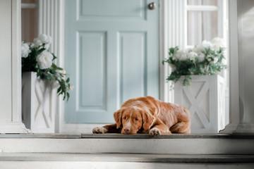 Left Outside: A Short Reminisce Left Outside: A Short Reminisce