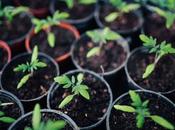 Easy Ways More Eco-Friendly Family