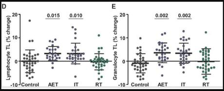 How Do Various Types of Exercise Impact Your Telomeres? What the Heck Is a Telomere?