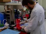 Here Five Reasons Science Isn't Always Perfect