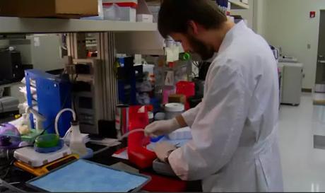 Things Wrong With Science