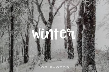 These beautiful winter photos can easily improve the look of your website, blog or social media page and attract more clicks on your posts.