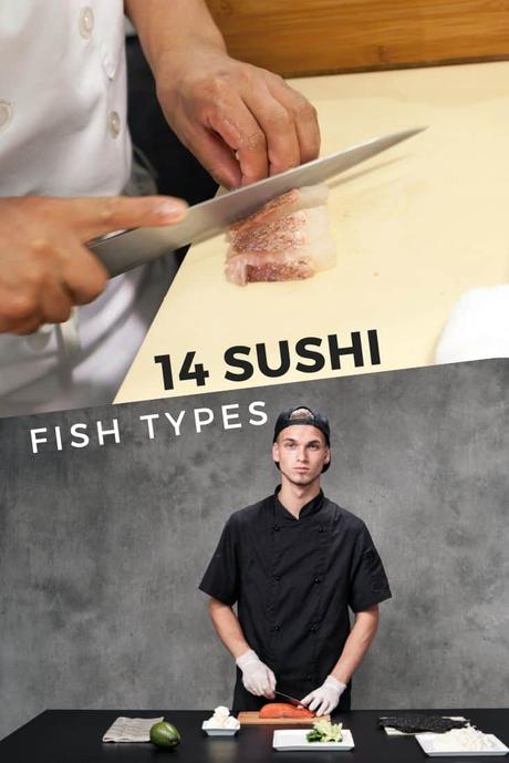 14 sushi fish types